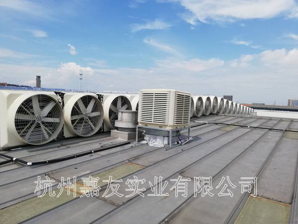養(yǎng)殖車間安裝負(fù)壓風(fēng)機(jī)通風(fēng)降溫